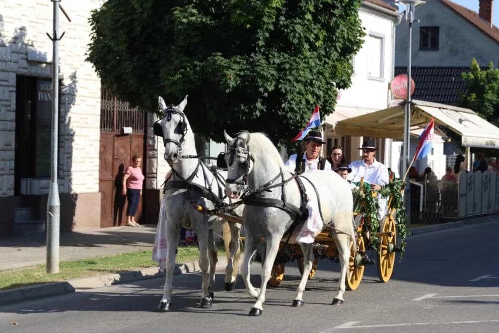 Povorka konjanika i konjskih zaprega ta članova kulturno-umjetničkih društava ulicama grada Pleternice