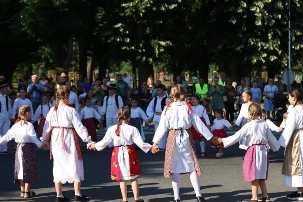 Povorka konjanika i konjskih zaprega ta članova kulturno-umjetničkih društava ulicama grada Pleternice