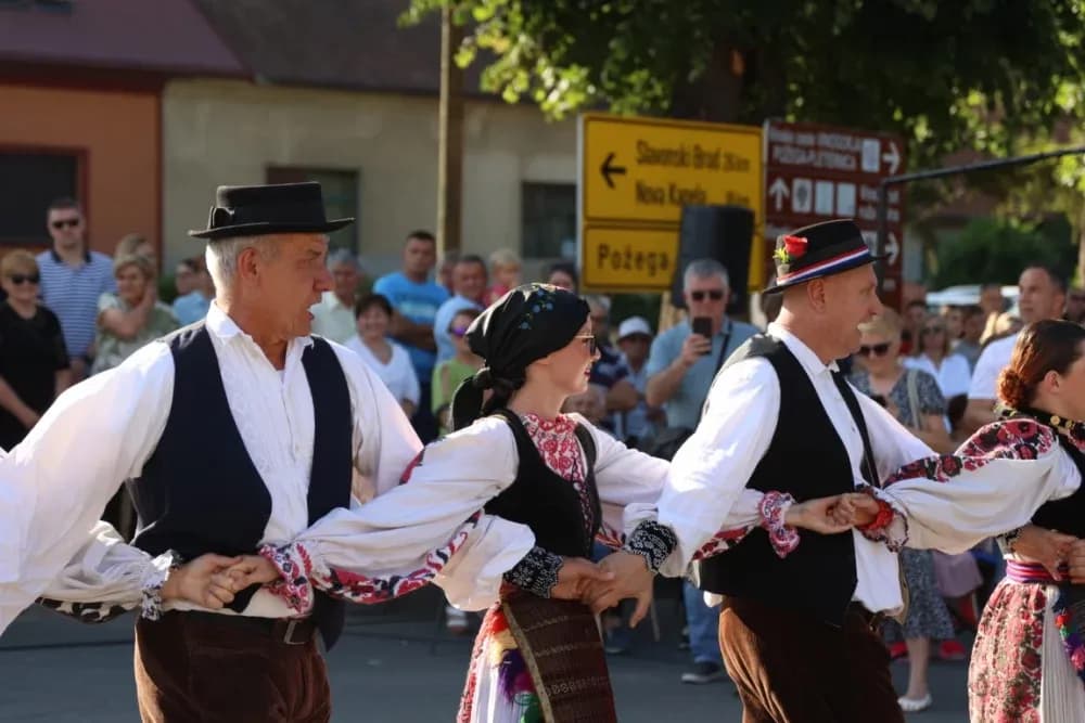 Povorka konjanika i konjskih zaprega ta članova kulturno-umjetničkih društava ulicama grada Pleternice
