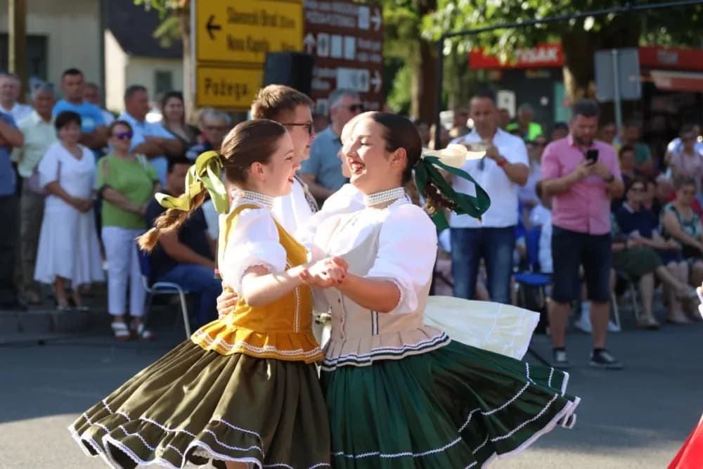 Povorka konjanika i konjskih zaprega ta članova kulturno-umjetničkih društava ulicama grada Pleternice