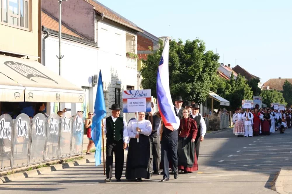 Povorka konjanika i konjskih zaprega ta članova kulturno-umjetničkih društava ulicama grada Pleternice