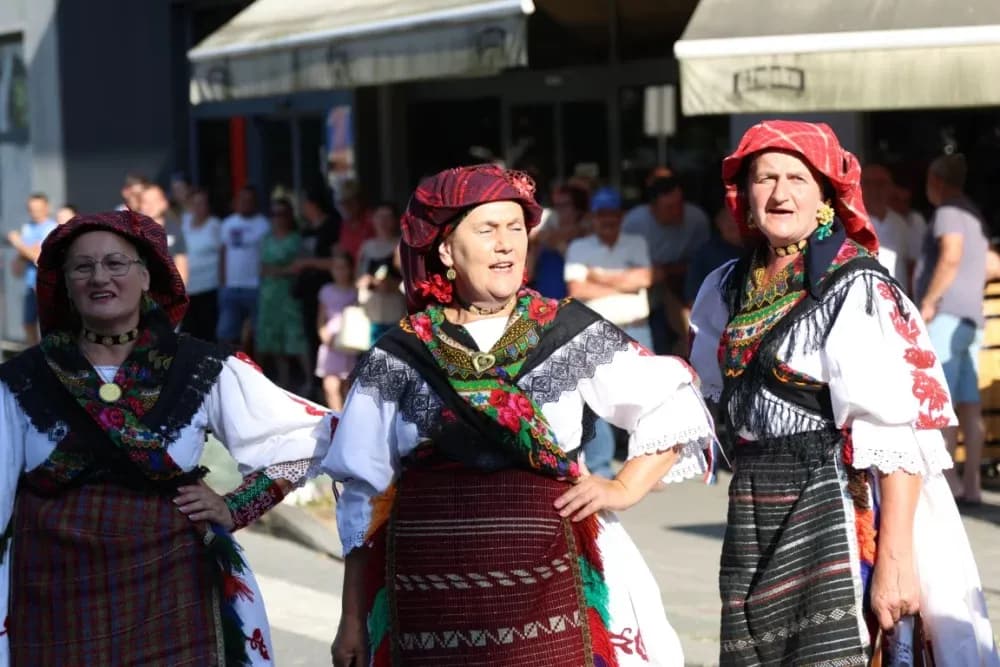 Povorka konjanika i konjskih zaprega ta članova kulturno-umjetničkih društava ulicama grada Pleternice
