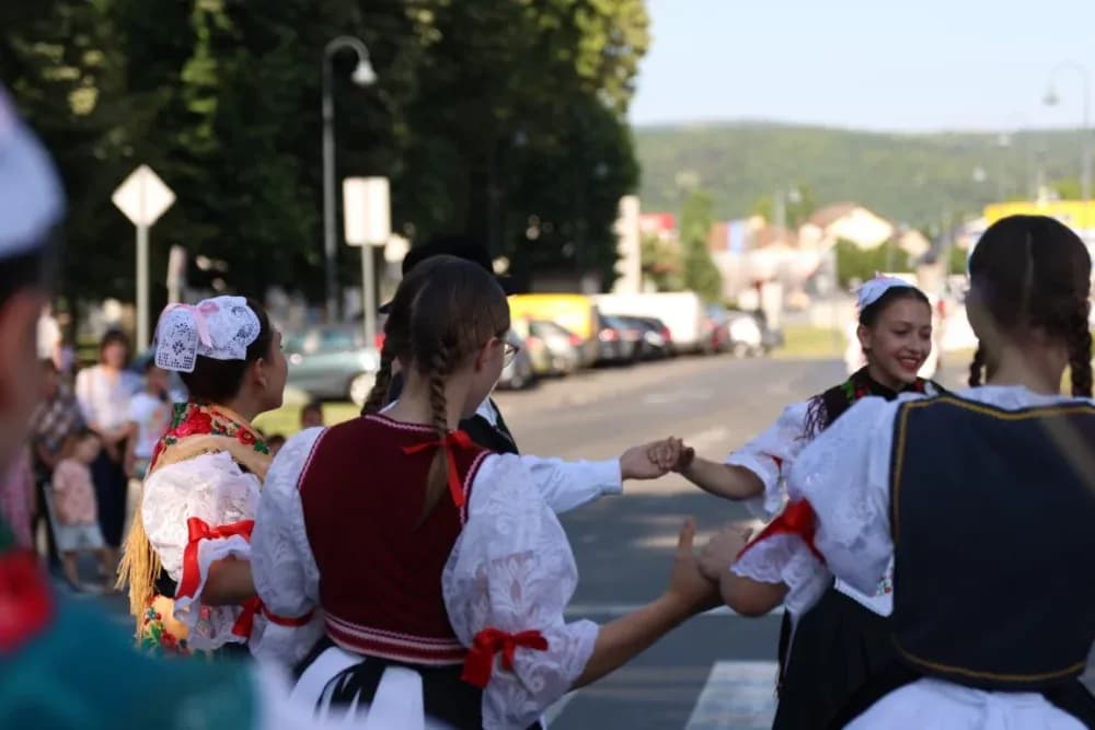 Povorka konjanika i konjskih zaprega ta članova kulturno-umjetničkih društava ulicama grada Pleternice