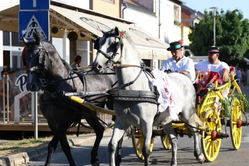 Povorka konjanika i konjskih zaprega ta članova kulturno-umjetničkih društava ulicama grada Pleternice