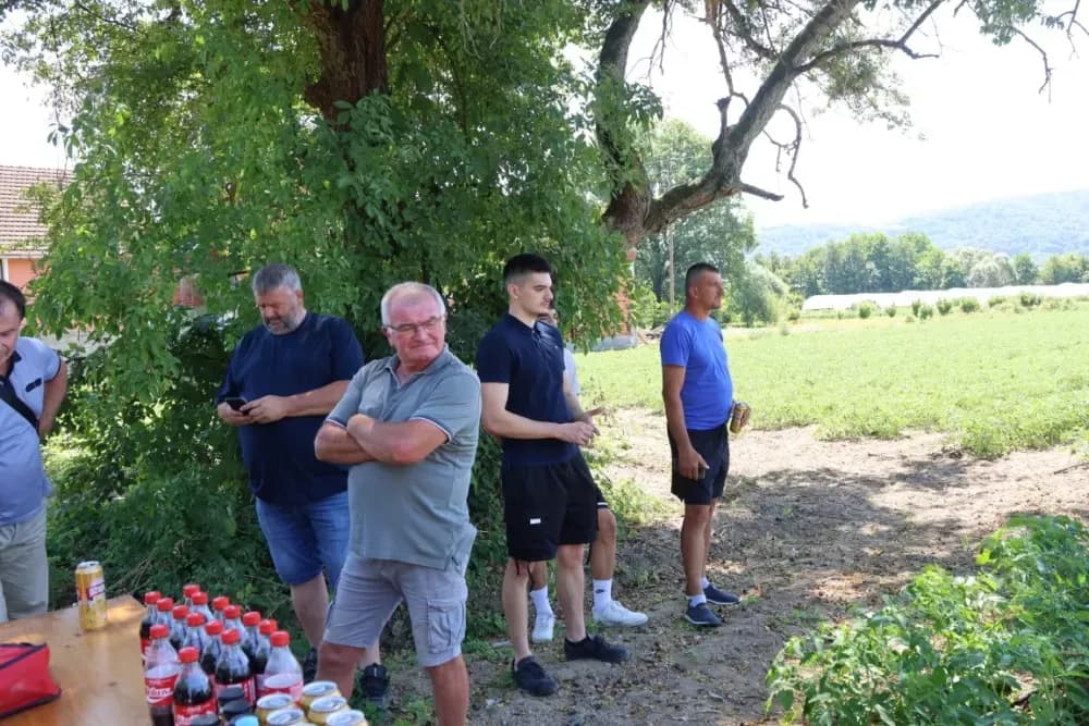 Šest povrćara požeškog kraja imaju 55 hektara rajčice za potrebe Podravke