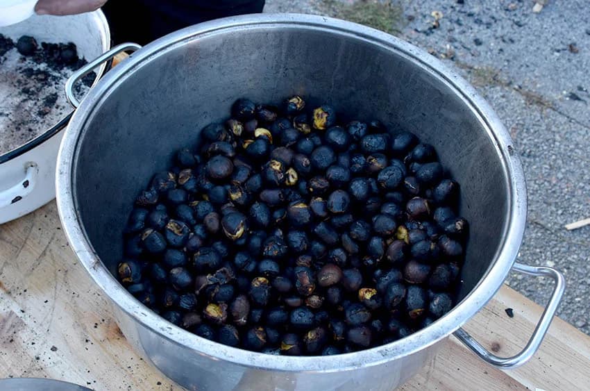 Pojedeno sto kilograma kestena, 70 litara graha i više stotina “poderanih gaća”  [FOTO]