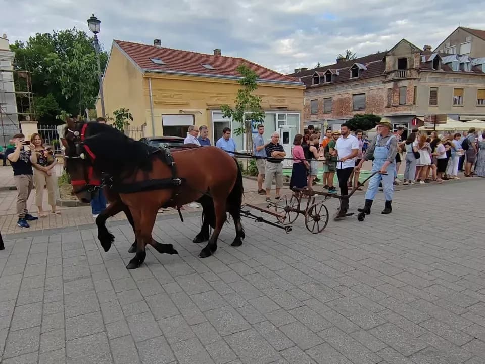 [FOTO] Češka beseda Bjeliševac sudjelovala na 100. Dožínky u Daruvaru