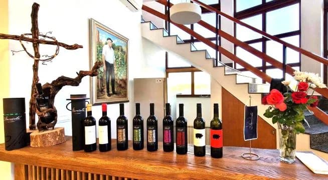 Naslov prvaka Šahovskom klubu Vina Markota iz Pleternice [ FOTO]