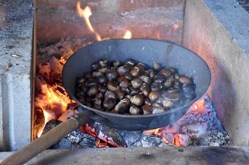 PLANINARSKA GLJIVIJARIJADA NA POŽEŠKOJ GORI: Pripremljen  omlet od gljiva sa 70 jaja [FOTO]