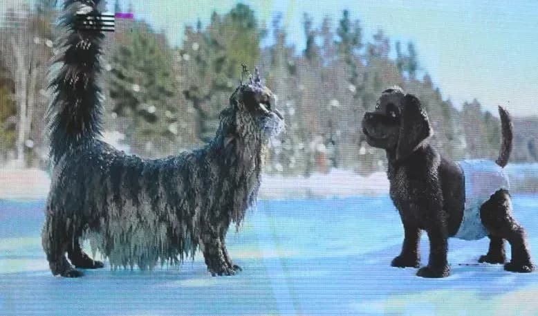 Na Trgu bećarca prikazan francuski pustolovni film „Kao pas i mačka“