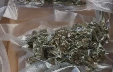 Mlada dama (31) s cannabis marihuanom u Pleternici