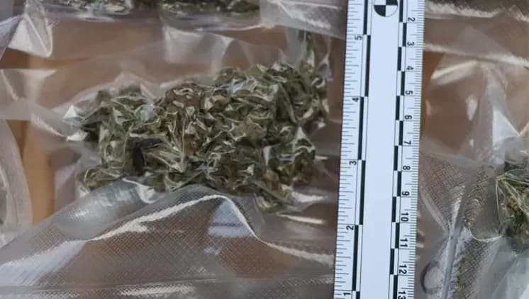Kod 35-godišnjaka policijski službenici pronašli cannabis marihuanu