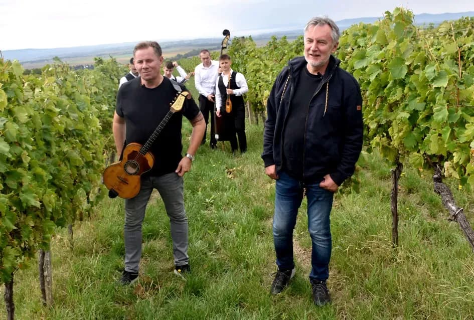 Pjesmom uz tambure Škoro počeo berbu vinograda u Mitrovcu