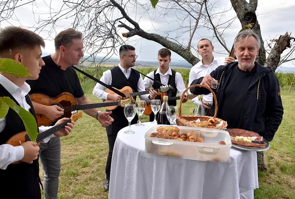 Pjesmom uz tambure Škoro počeo berbu vinograda u Mitrovcu