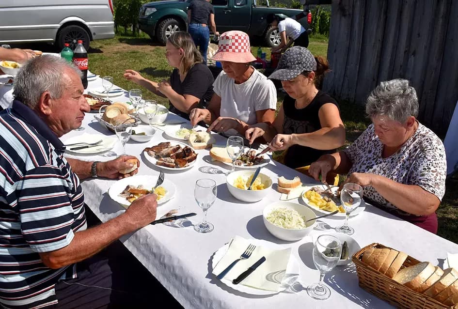Pjesmom uz tambure Škoro počeo berbu vinograda u Mitrovcu
