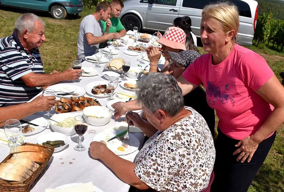 Pjesmom uz tambure Škoro počeo berbu vinograda u Mitrovcu