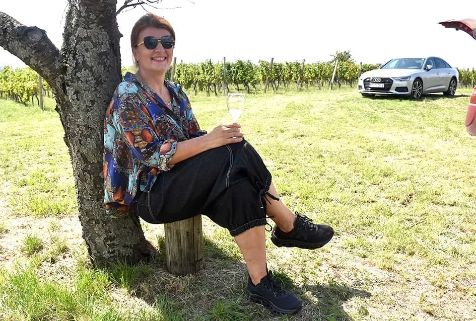 Pjesmom uz tambure Škoro počeo berbu vinograda u Mitrovcu