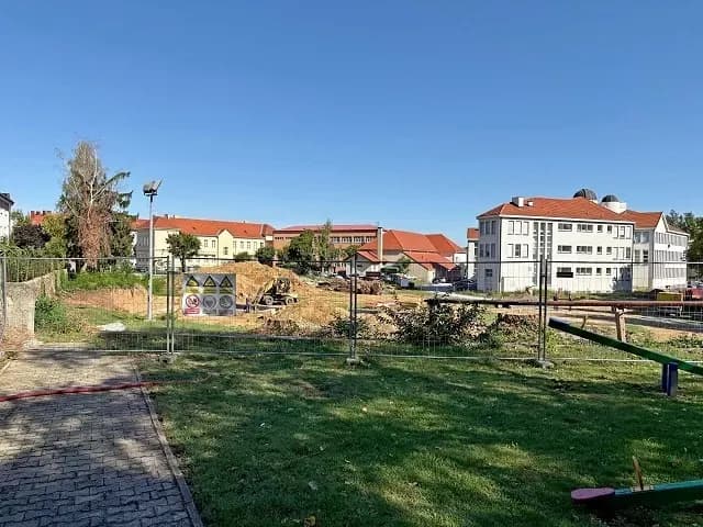 Porušeni su jablanovi u Požegi