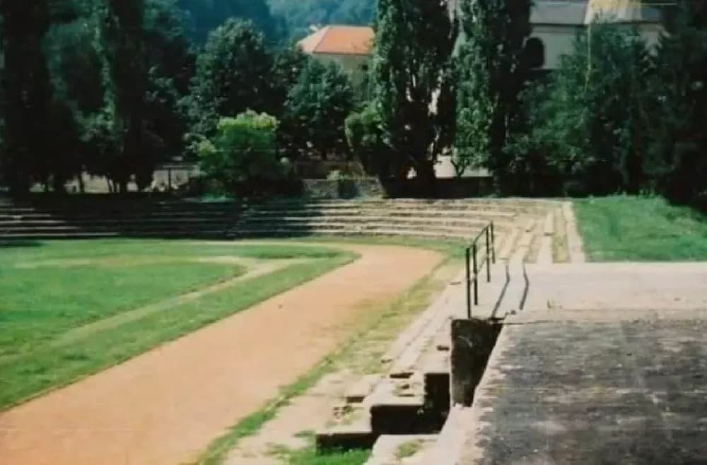 Porušeni su jablanovi u Požegi