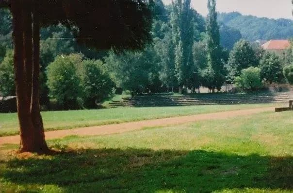 Porušeni su jablanovi u Požegi