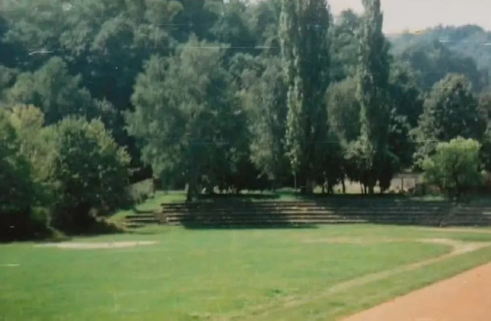 Porušeni su jablanovi u Požegi