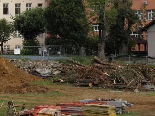 Porušeni su jablanovi u Požegi