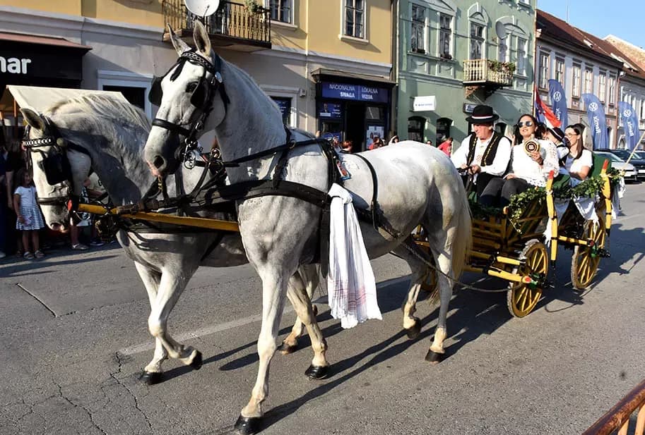 (FOTOGALERIJA) SVEČANA FESTIVALSKA POVORKA ULICAMA GRADA: Pokazana ljepta baštine koja krasi Požešku kotlinu