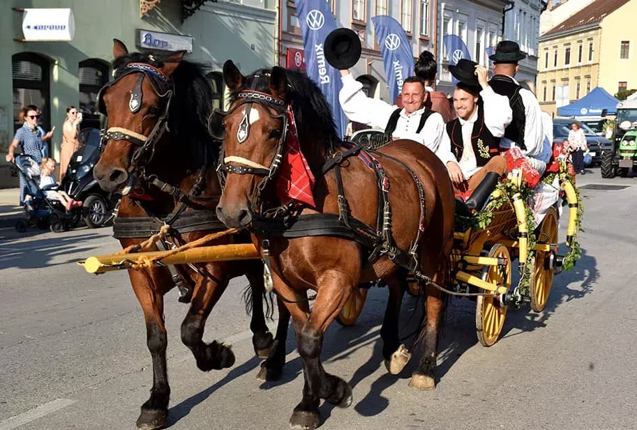 (FOTOGALERIJA) SVEČANA FESTIVALSKA POVORKA ULICAMA GRADA: Pokazana ljepta baštine koja krasi Požešku kotlinu