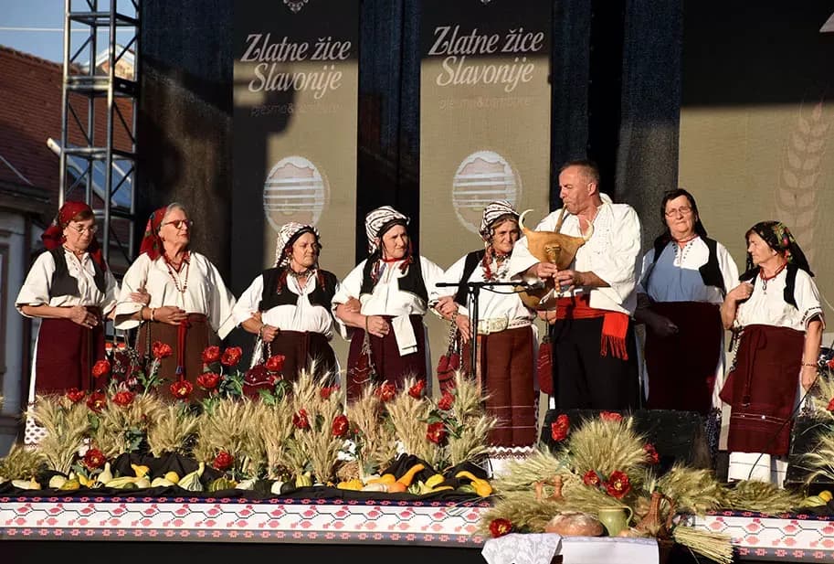 (FOTOGALERIJA) SVEČANA FESTIVALSKA POVORKA ULICAMA GRADA: Pokazana ljepta baštine koja krasi Požešku kotlinu