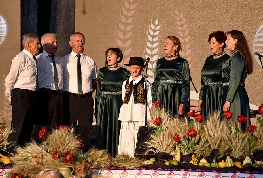 (FOTOGALERIJA) SVEČANA FESTIVALSKA POVORKA ULICAMA GRADA: Pokazana ljepta baštine koja krasi Požešku kotlinu