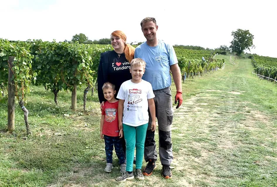 Divljač opustošila vinograde Zorice Tandare u Kutjevu