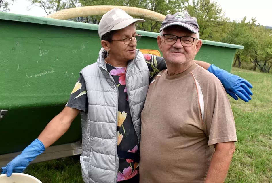 Graševina kao dukat žuta u vinogradima obitelji Mihalj iz Vetova