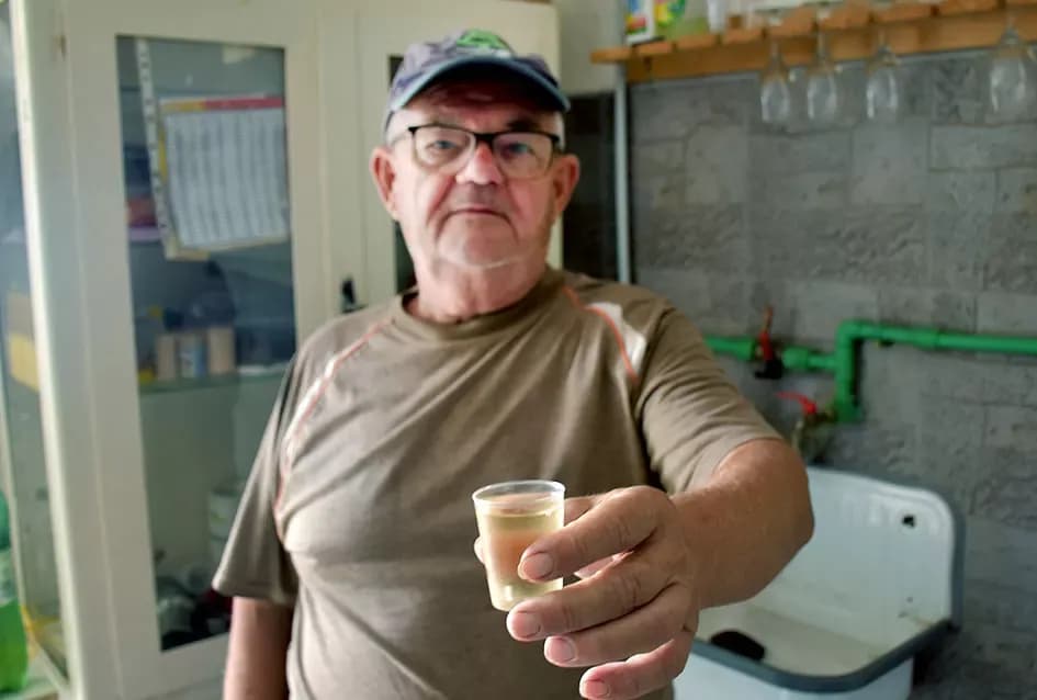 Graševina kao dukat žuta u vinogradima obitelji Mihalj iz Vetova