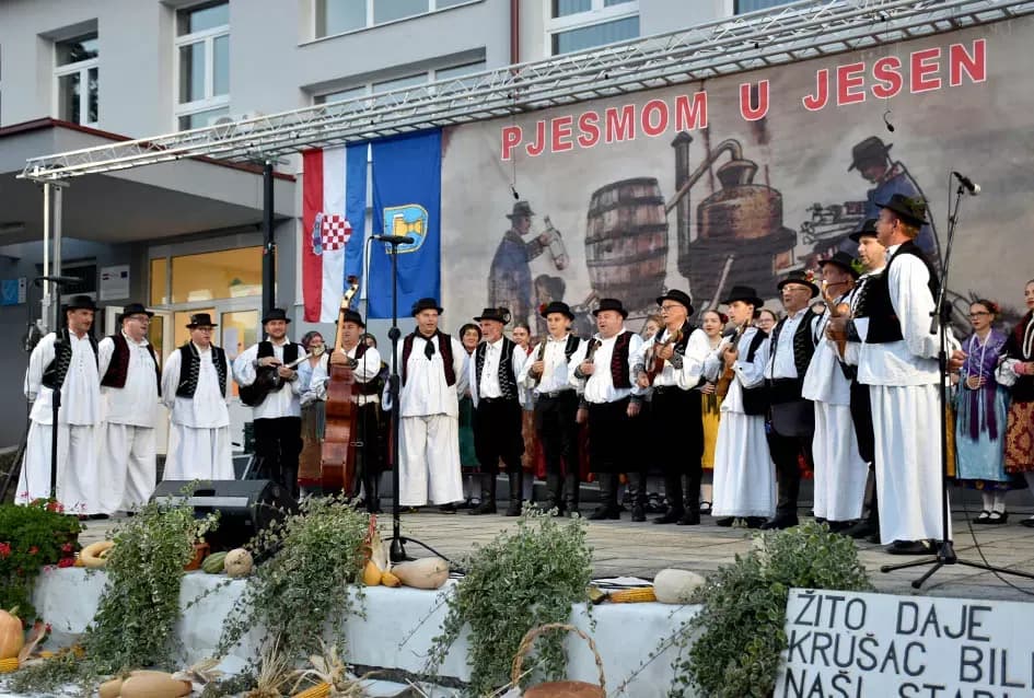 (FOTOGALERIJA) Bogatu smotru nakon nastupa desetak folklornih skupina začinili davorski tamburaši Satir
