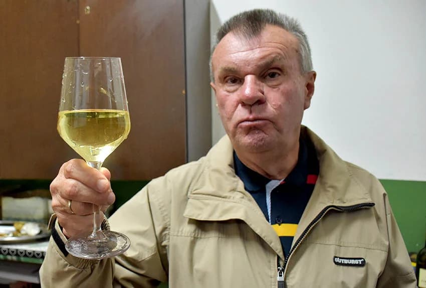 U prigodi Martinja uz domaće i brojni ljubitelji vina iz inozemstva u podrumima kutjevačkih vinara [FOTO]