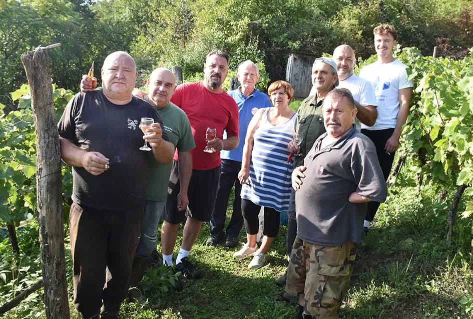 Graševina s 360 metara nadmorske visine Požežanina Branka Smolića