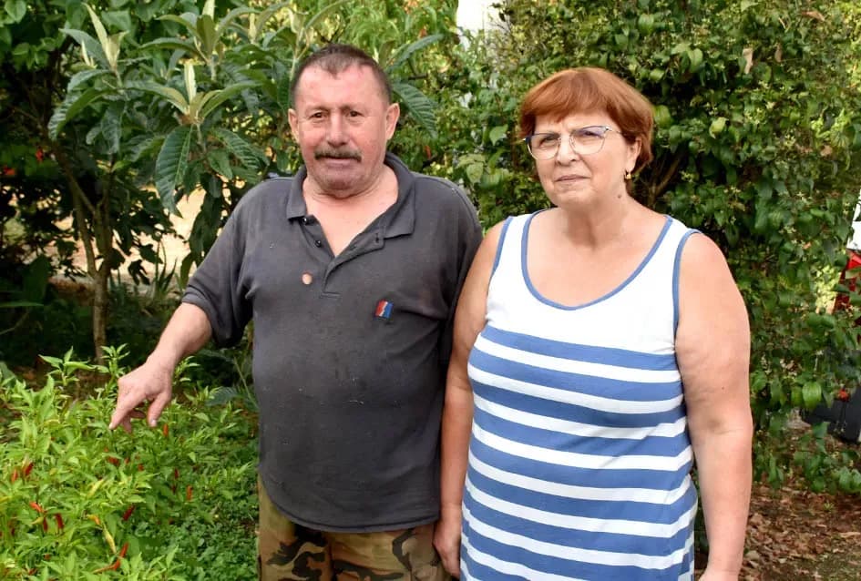 Graševina s 360 metara nadmorske visine Požežanina Branka Smolića