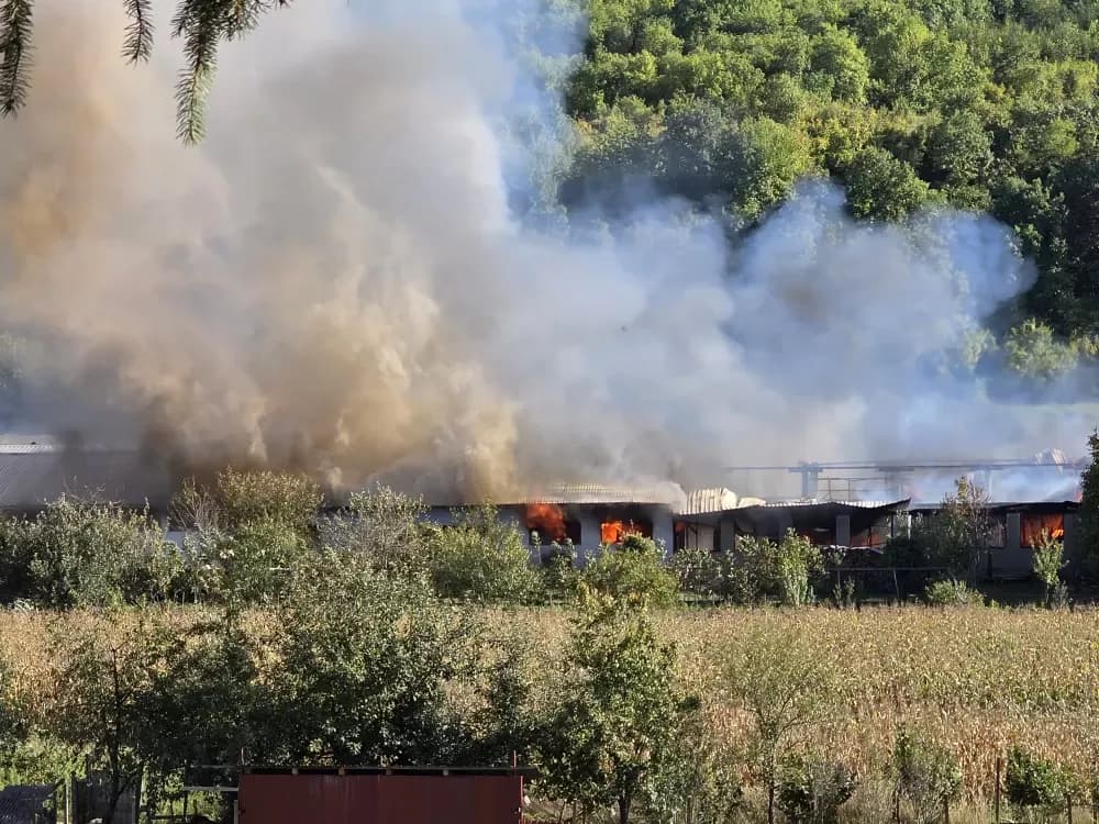 Veliki požar u Buku: Gori pogon za proizvodnju stolarije - vatrogasci se bore s vatrenom stihijom