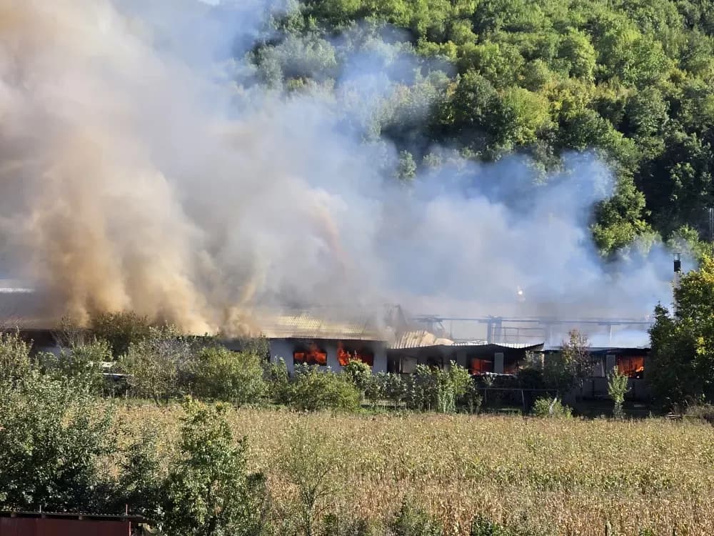 Veliki požar u Buku: Gori pogon za proizvodnju stolarije - vatrogasci se bore s vatrenom stihijom