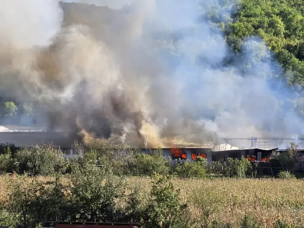 Veliki požar u Buku: Gori pogon za proizvodnju stolarije - vatrogasci se bore s vatrenom stihijom