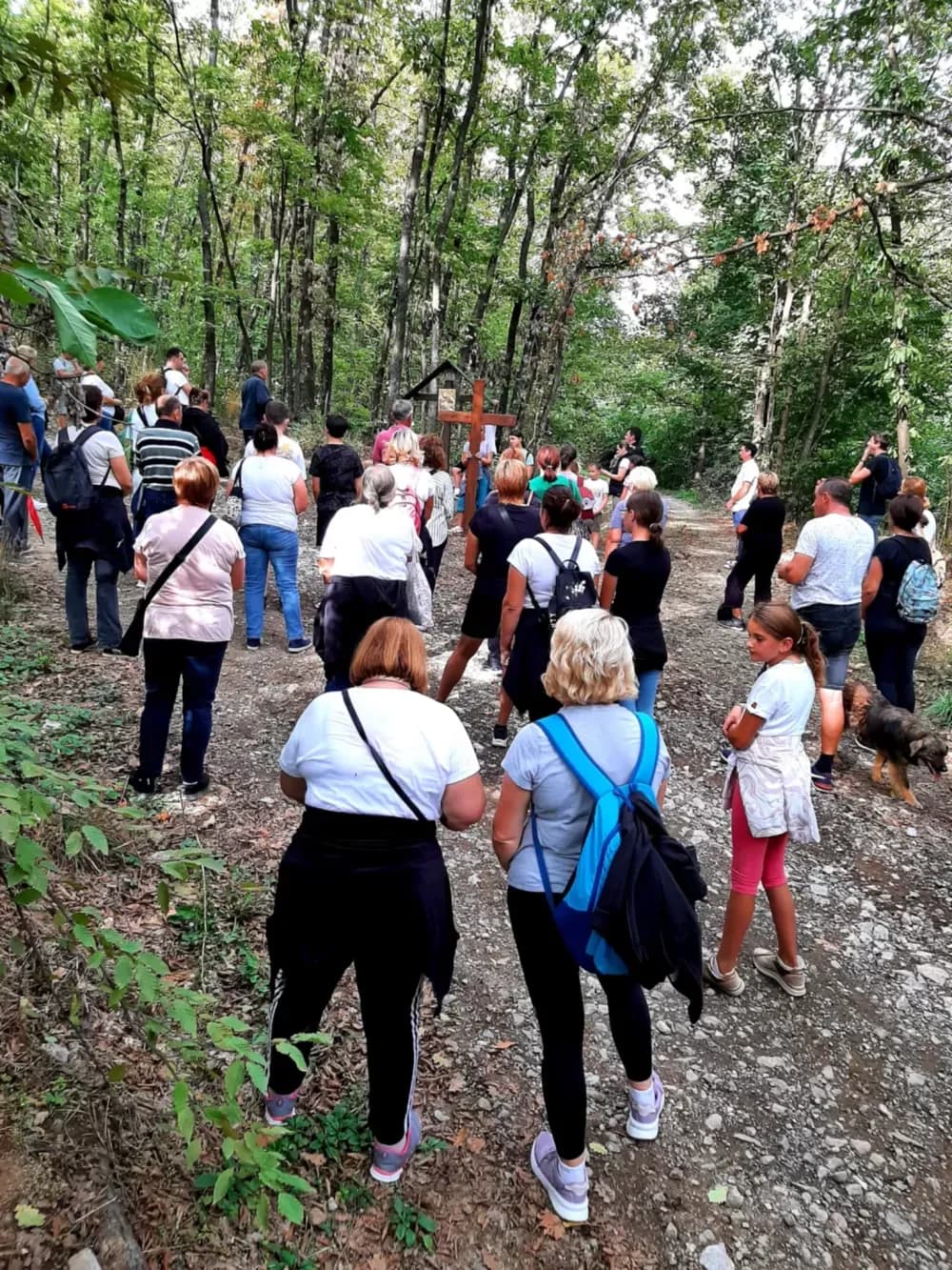 KRIŽNI PUT POŽEŠKA KOPRIVNICA-KLIKUN: Tradicionalno hodočašče predvodio pleternički župnik Dragan Hrgić