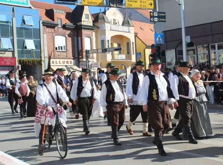 [FOTO] Pleternički umirovljenici prisustvovali  mimohodu na „Vinkovačkim jesenima“ te posjetili Đakovo-srce Slavonije
