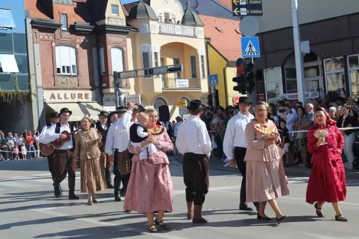 [FOTO] Pleternički umirovljenici prisustvovali  mimohodu na „Vinkovačkim jesenima“ te posjetili Đakovo-srce Slavonije