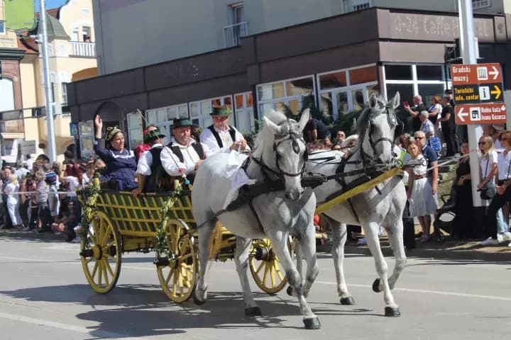 [FOTO] Pleternički umirovljenici prisustvovali  mimohodu na „Vinkovačkim jesenima“ te posjetili Đakovo-srce Slavonije