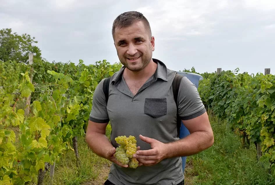 Kutjevački vinogradari Previšići kooperiraju s Kutjevom d.d.
