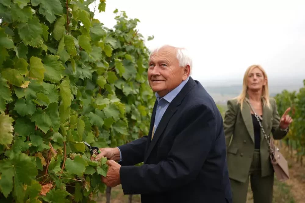 (FOTOGALERIJA) Dan berbe u Vinariji Kutjevo d.d. uz zanimljiva natjecanja