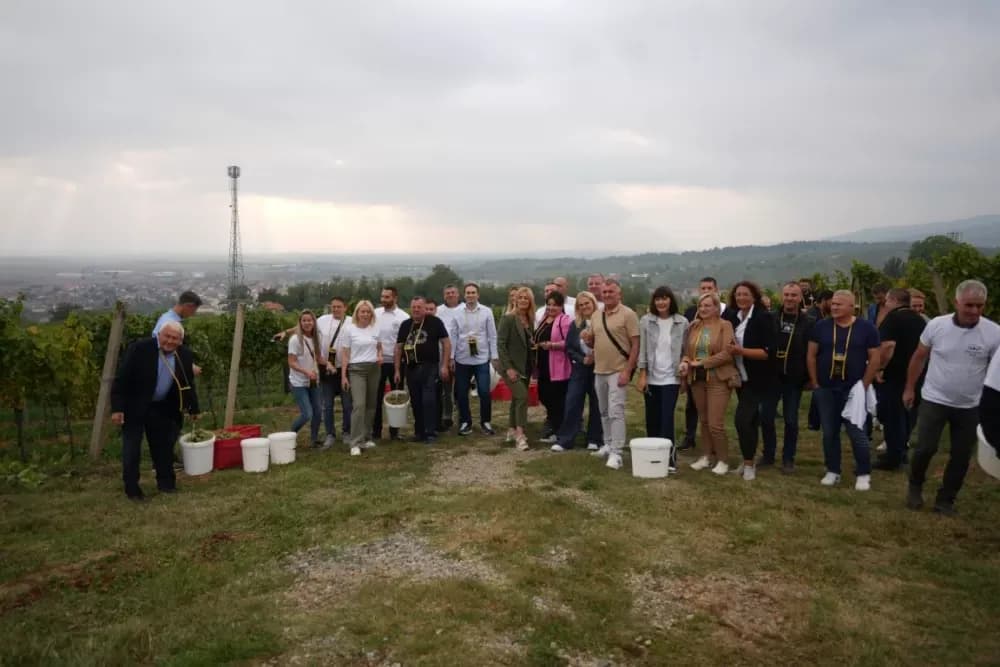 (FOTOGALERIJA) Dan berbe u Vinariji Kutjevo d.d. uz zanimljiva natjecanja