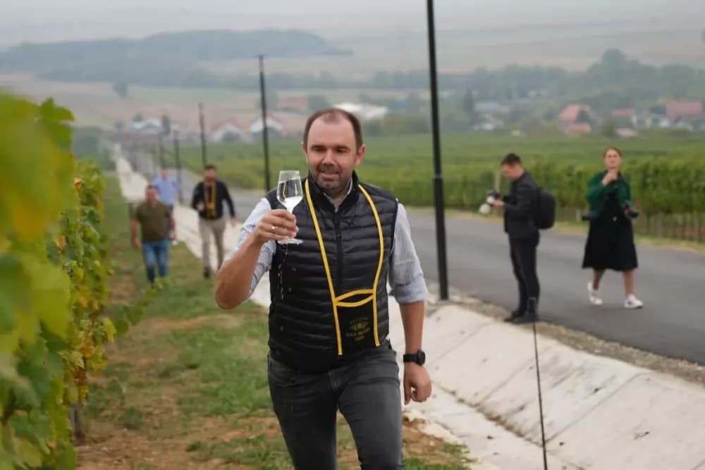 (FOTOGALERIJA) Dan berbe u Vinariji Kutjevo d.d. uz zanimljiva natjecanja