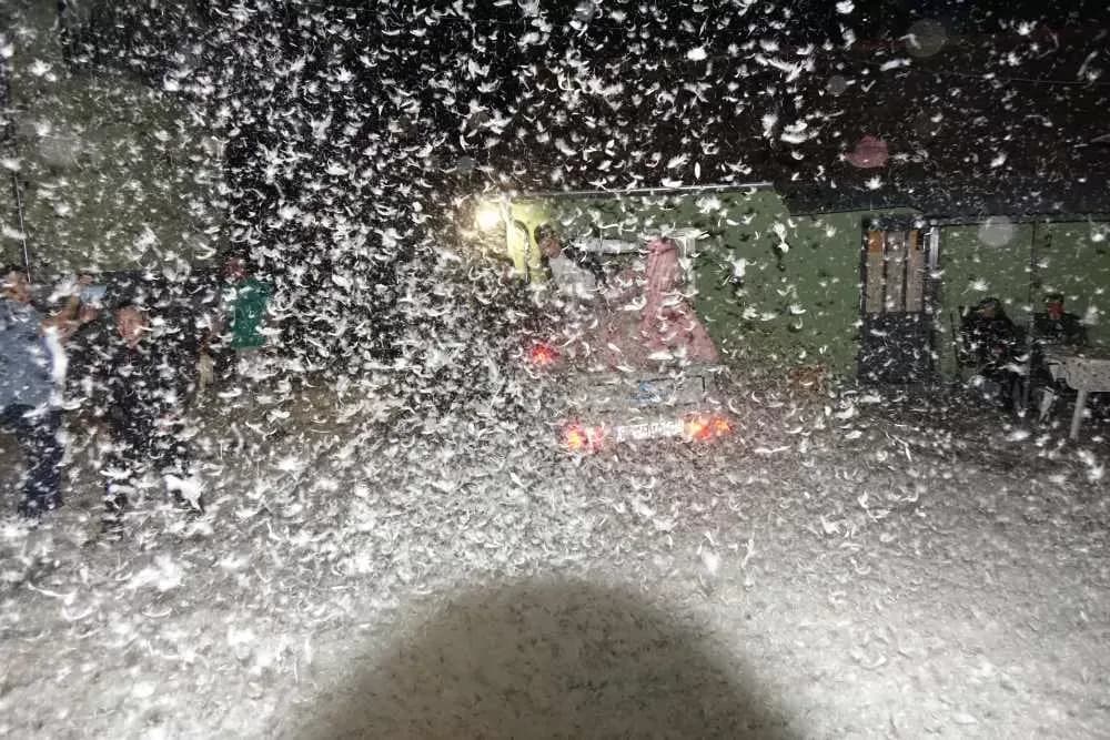 Slavonska fešta za pamćenje: Rođeni blizanci Bruno i Borna, slavilo se uz perje, pjesmu i 90. rođendan pradjeda