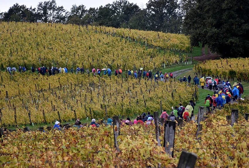 Više tisuća planinara i drugih posjetitelja okupilo se u Kutjevu na tradicionalnoj proslavi Martinja u Kutjevu /FOTOGALERIJA)